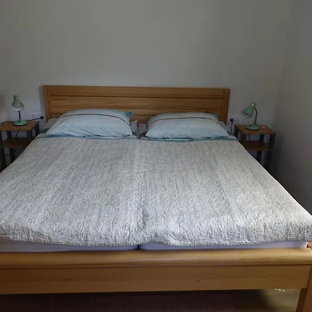 Booa Irena Apartman Bohinj