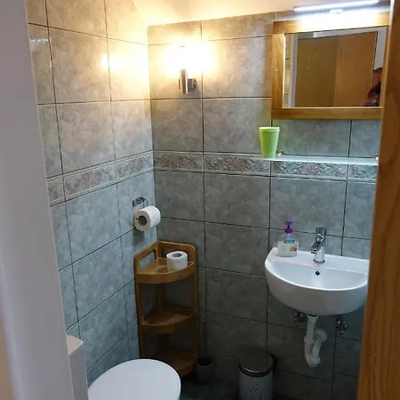 Booa Irena Appartement Bohinj